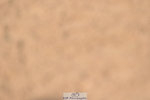 231015A-151310-08897
