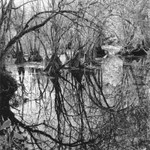 Corkscrew Swamp Sanctuary 2012