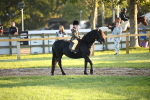 SBM_32260
