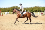 SBM_003336