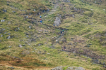 Peris Horseshoe-629