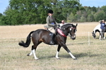 WJ7_7883