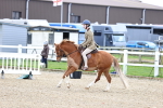 SBM_006819
