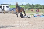 BPP_2452