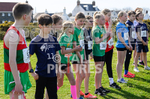 Keith Falla Memorial XC 2023-11