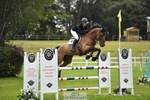 230712-084808-21742_Cls 50 Foxhunter  120m Open