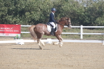 SBM_001555