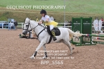 BPP_5565