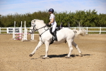 SBM_002650