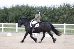 SBM_016735