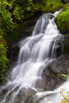 Rouken Glen waterfall, Glasgow - 3807