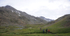 Flower Valley