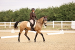SBM_006437