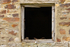 Little Owl sat in a window of a derelict house