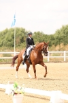 SBM_006463