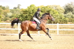 SBM_006504