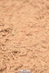 230402A-151548-06693