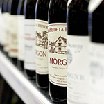 Still life portfolio