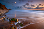 z1437 Compton Bay