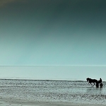 Landscape-037