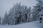 Photo of the Week 12/19/2011