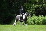 WJ7_2661