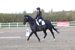 SBM_003313