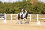 SBM_018276