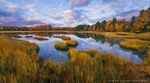Autumn on Rye Marsh