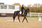 SBM_001345