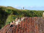 Shoreham Fort - 34