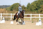 SBM_013607