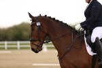 SBM_006442