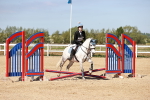 SBM_006947