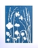 'Summer Meadow' One of a kind original cyanotype