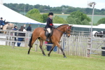 SBM_15994