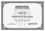 Monovisions Photography Awards_2020_Abstract