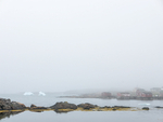 TILTING IN FOG - FOGO ISLAND