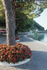 Garda town promenade