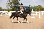 SBM_03088