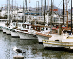 Graphic Boats
