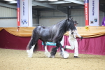 SBM_20969