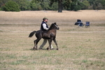 WJ6_5123