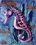 Seahorse