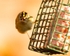 20110308-IMG_1861