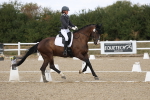 SBM_022006