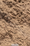 231015A-150520-08882