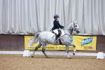 Class 12 - Novice 2 portfolio