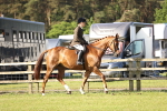 SBM_12283