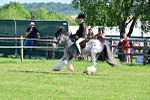 SBM_12237